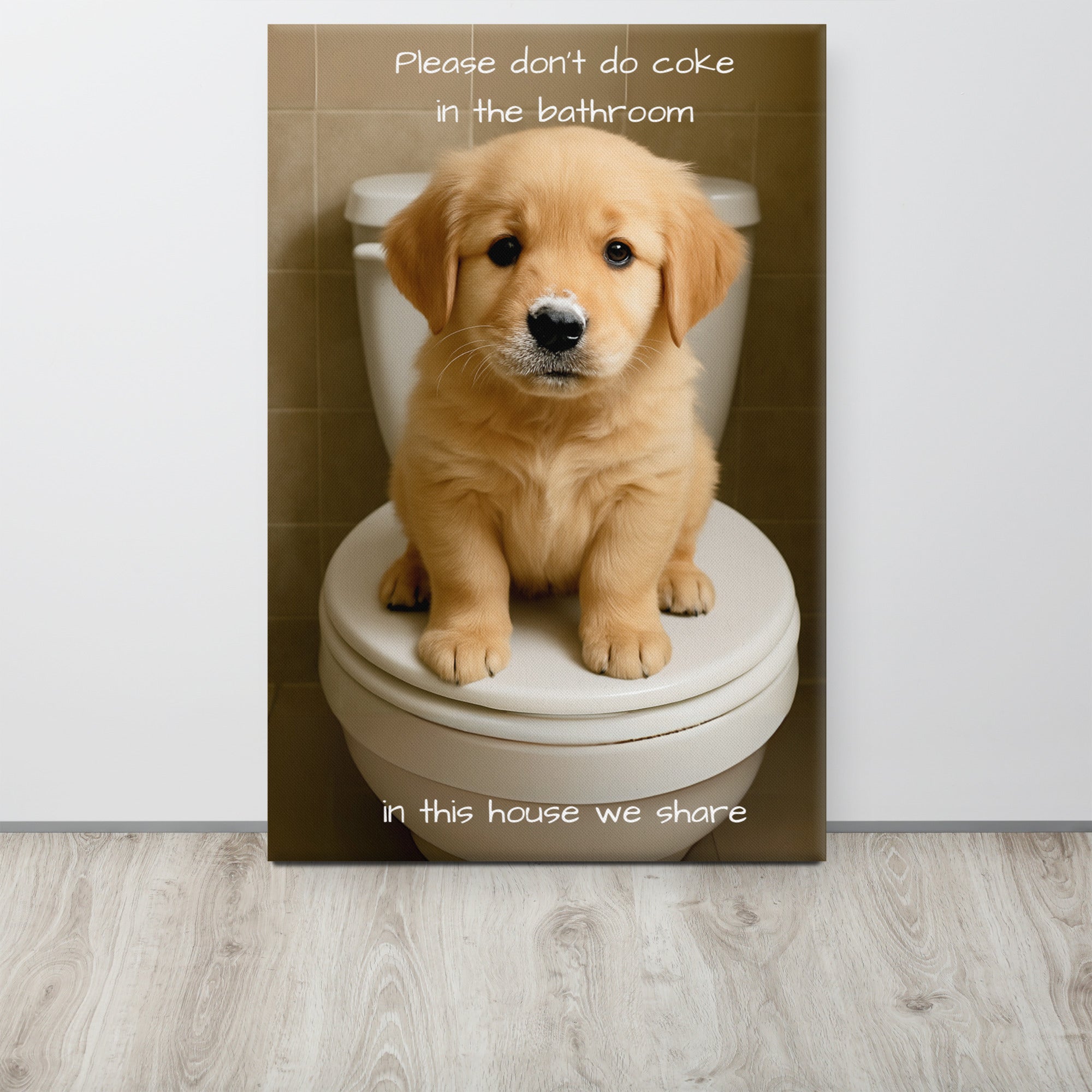 Please Don't Do Coke In The Bathroom, In This House We Share Paintings
