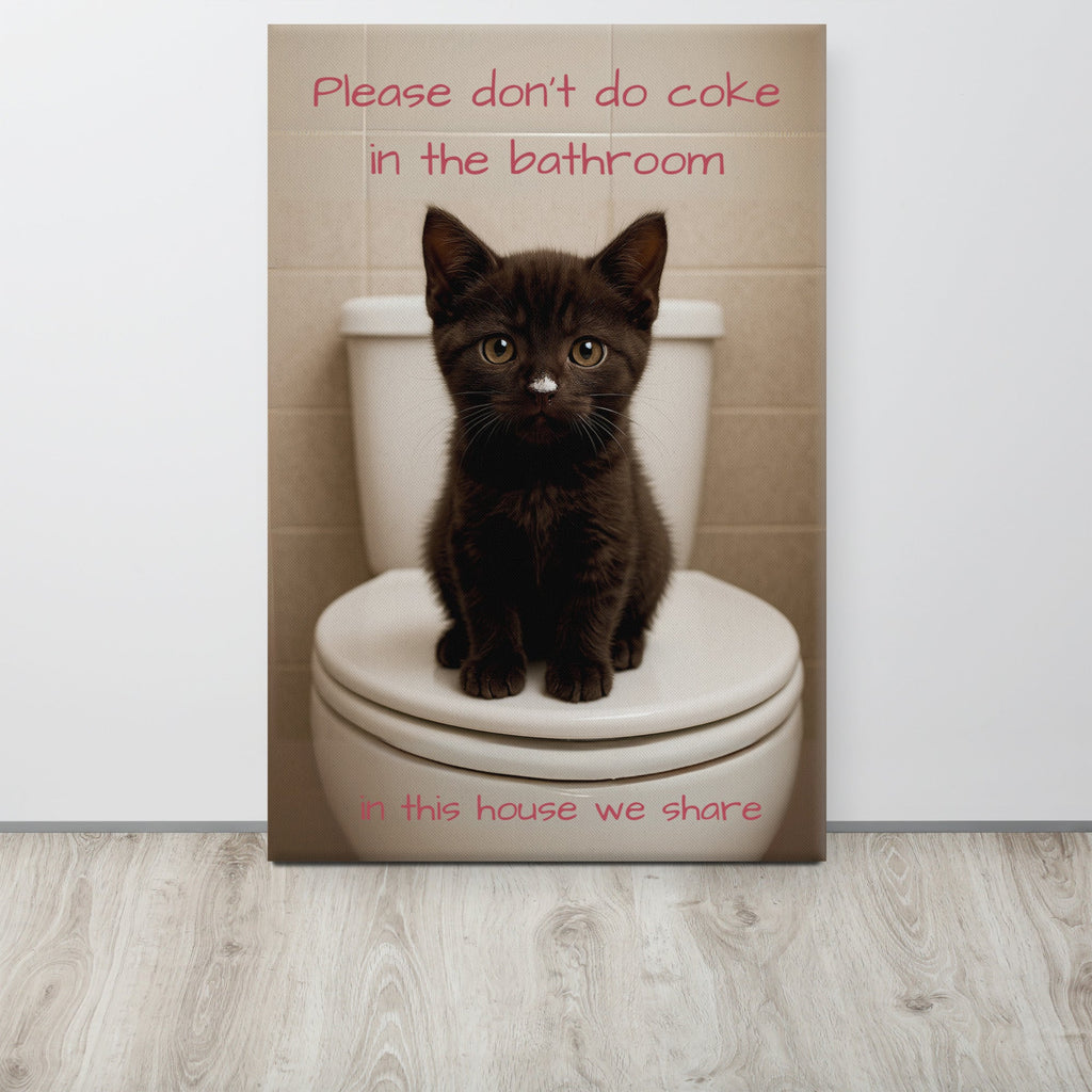 Please Don't Do Coke In The Bathroom, In This House We Share Paintings