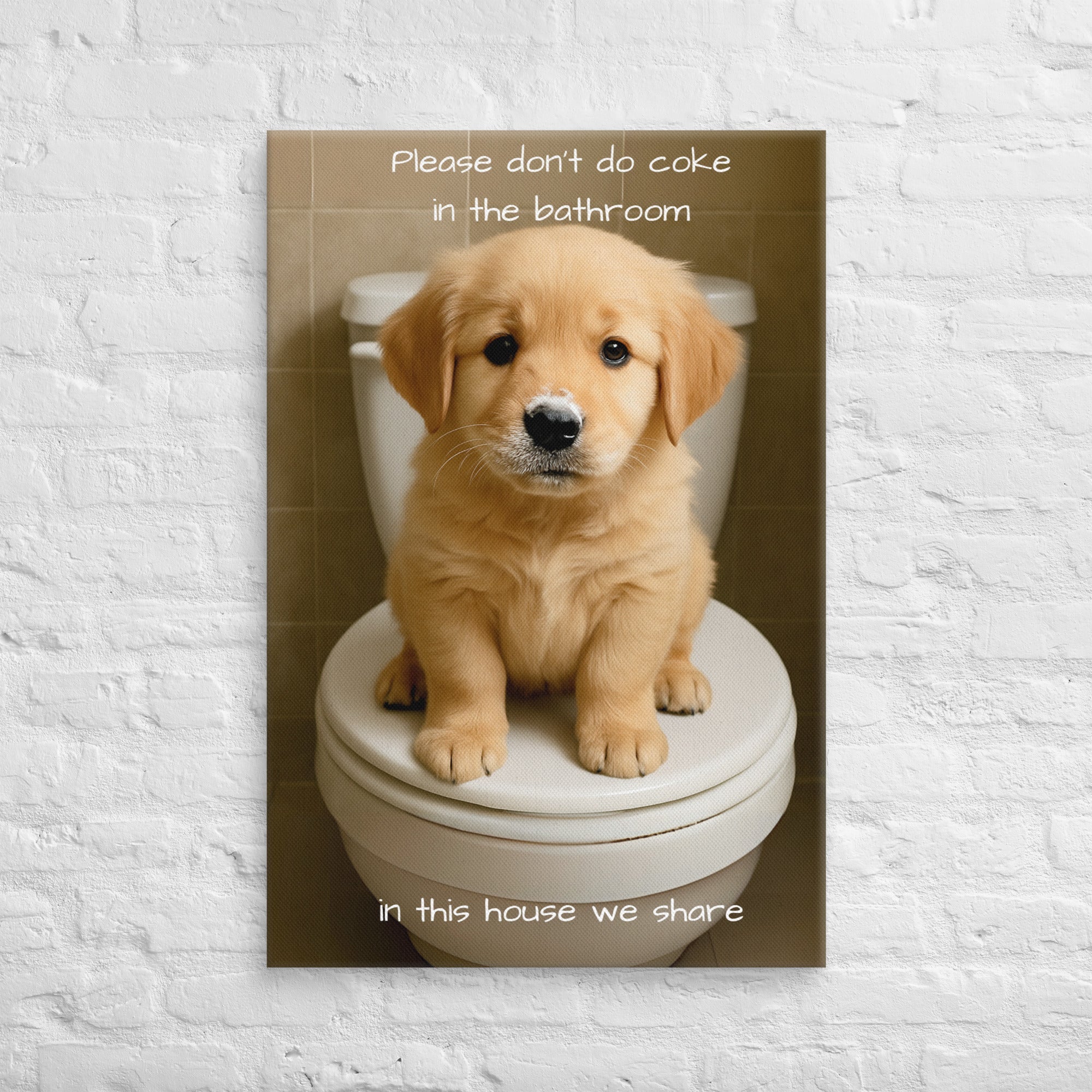 Please Don't Do Coke In The Bathroom, In This House We Share Paintings