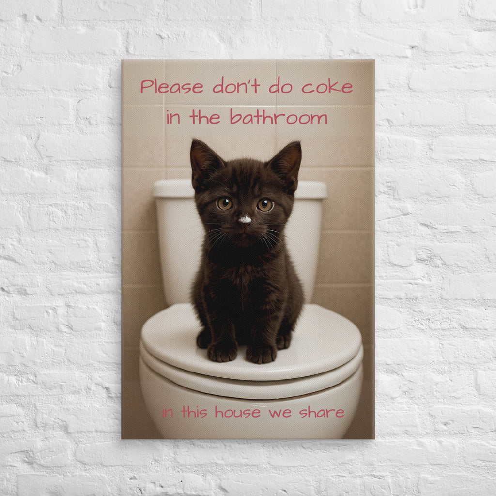 Please Don't Do Coke In The Bathroom, In This House We Share Paintings