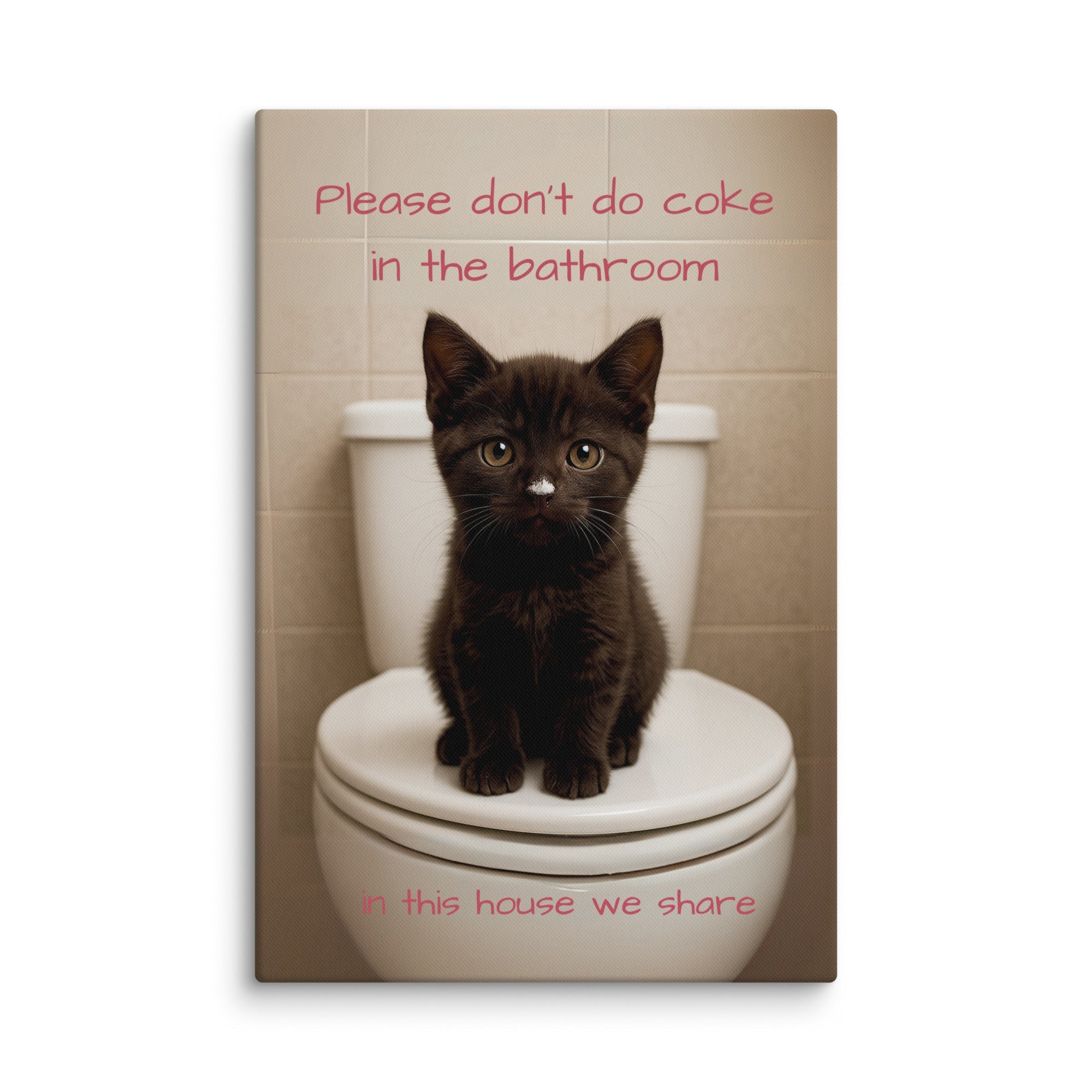 Please Don't Do Coke In The Bathroom, In This House We Share Paintings